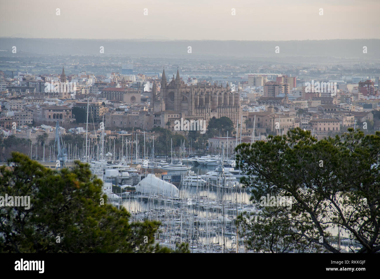 The city Palma de Mallorca with port and Majorca Cathedral from a birds eye view. Panoramic view from the top, winter morning Stock Photo