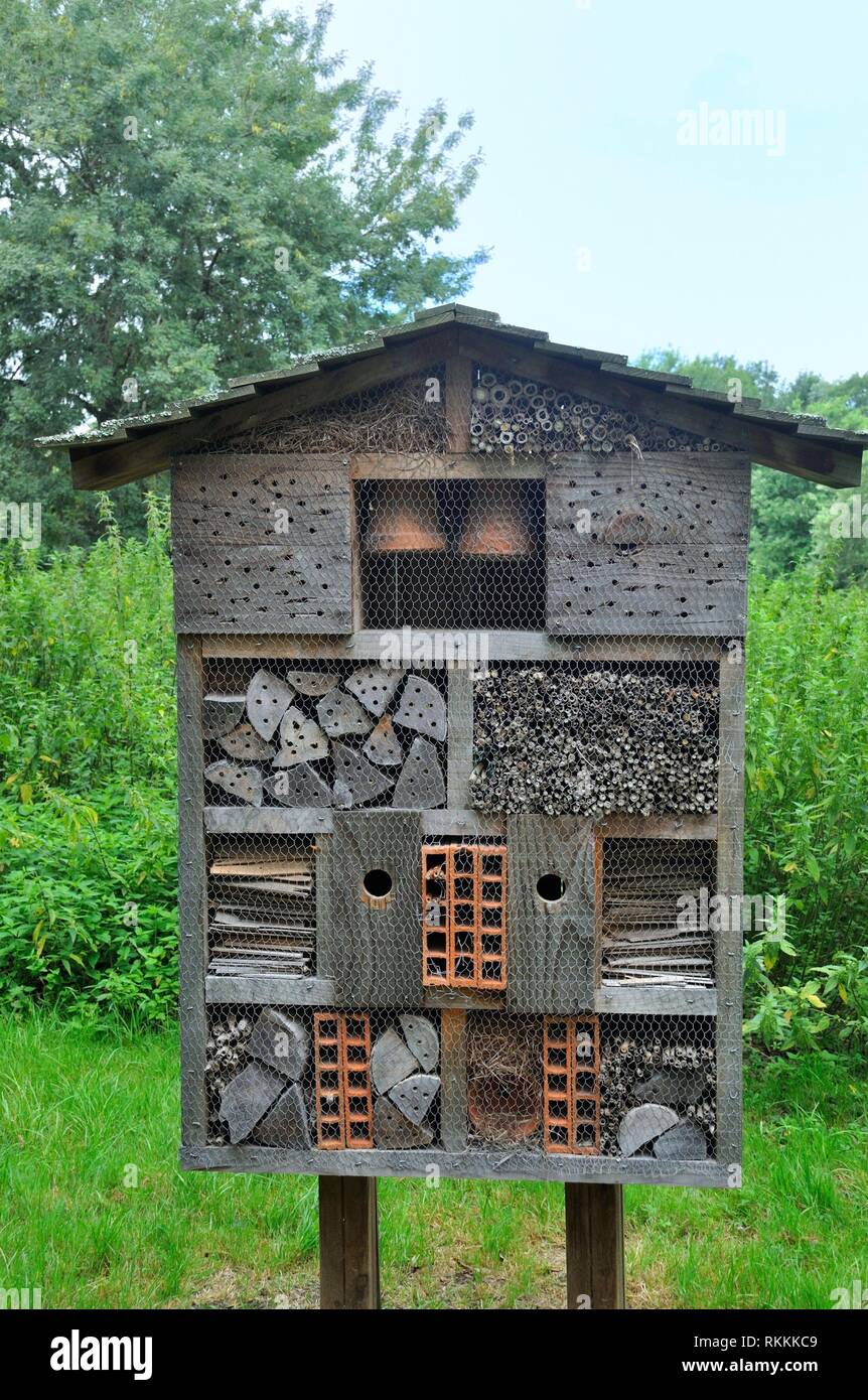 Insect Shelter Stock Photos & Insect Shelter Stock Images - Alamy
