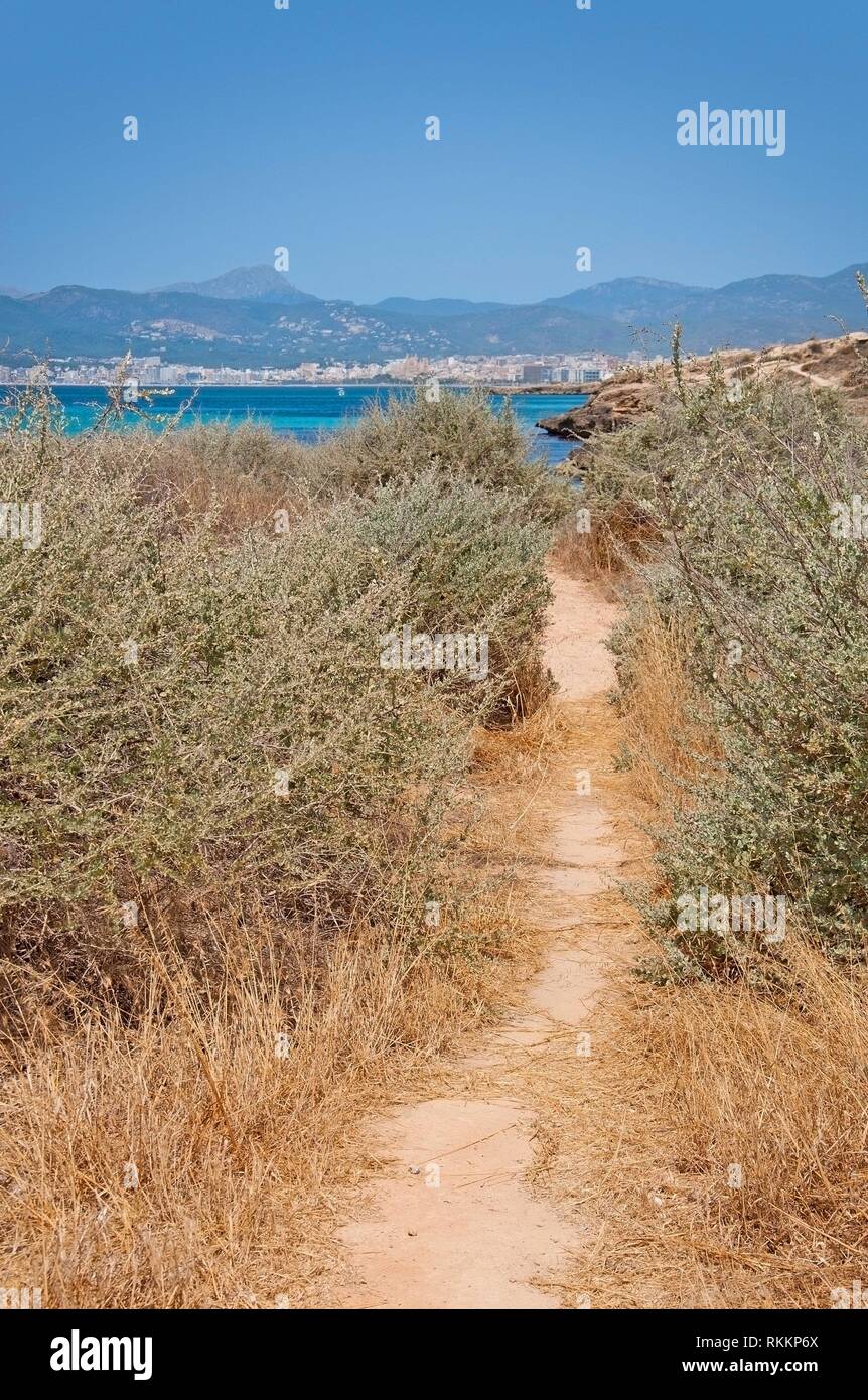 Natural coastal summer landscape with dirt path through dry herbs and crystal blue ocean in Palma de Mallorca, Spain. Stock Photo