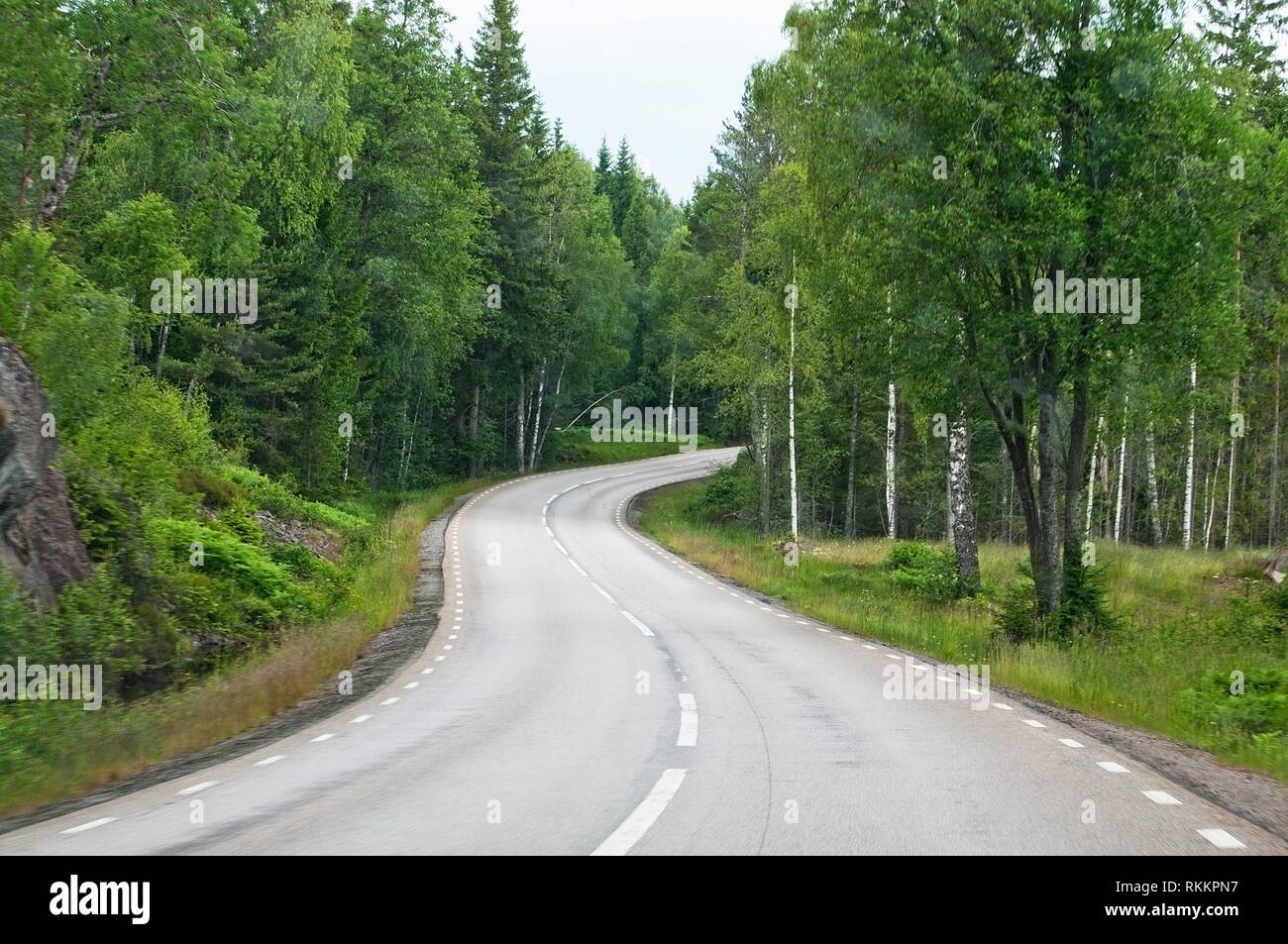 Curvy asphalted road ahead through dark green summer forest in south Sweden in July. Stock Photo
