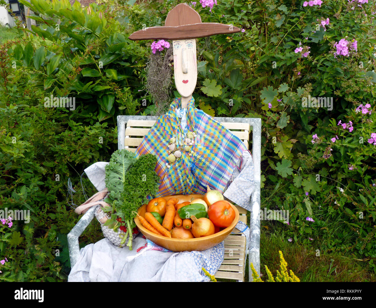 Garden art: A female scarecrow dressed and with a bountiful fresh bowl of vegetable harvest from the community garden, Maine, USA Stock Photo