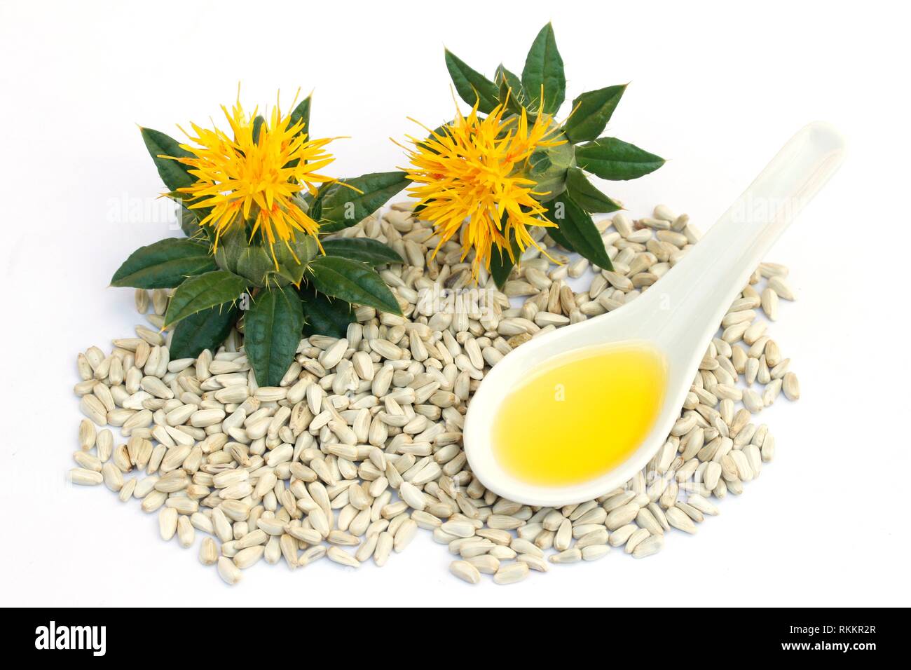 Medicine flower Cut Out Stock Images & Pictures Alamy