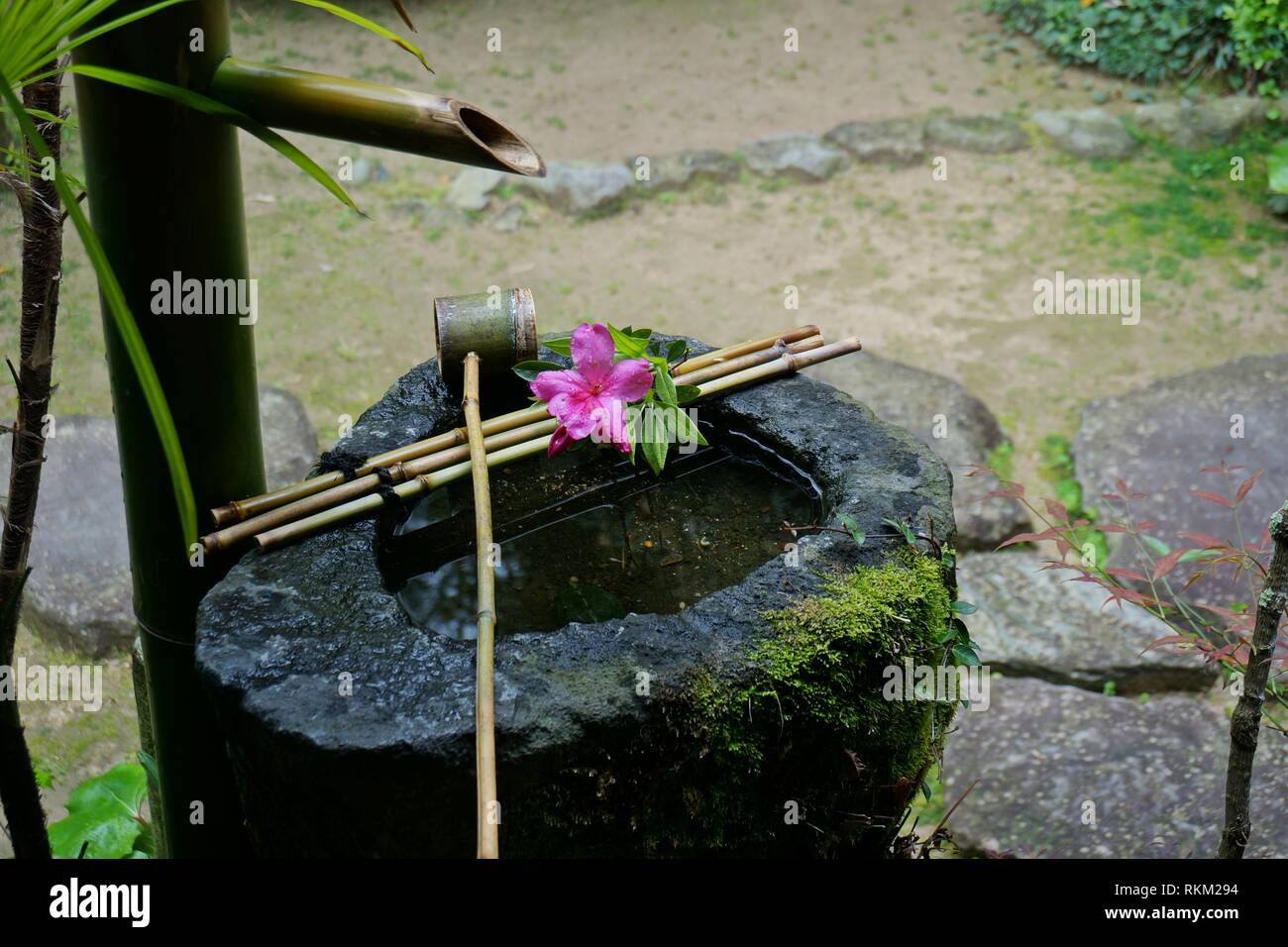 Stone Water Basin Japanese Garden Stock Photo 235854112 Alamy