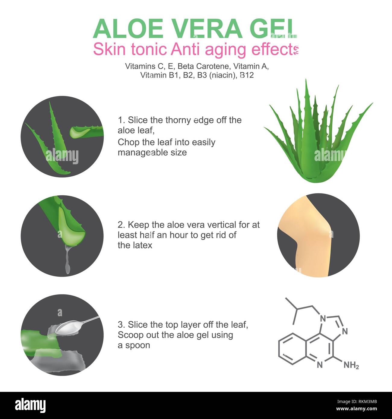 Aloe Vera Is A Succulent Plant Species Of The Genus Aloe It Grows