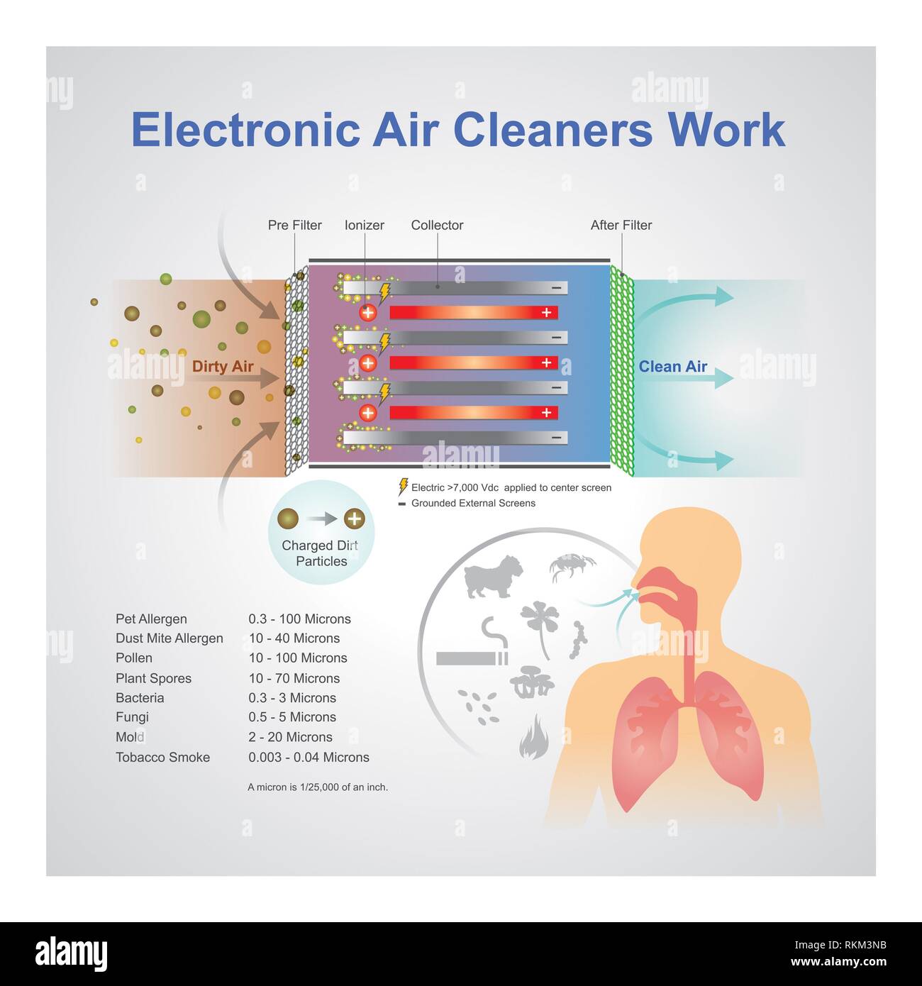 An air purifier is a device which removes contaminants from the air in