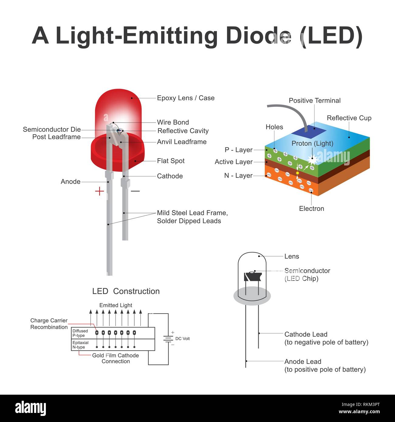 Light Emitting Diode (LED) structure. Isolated background. Education info  graphic vector Stock Photo - Alamy