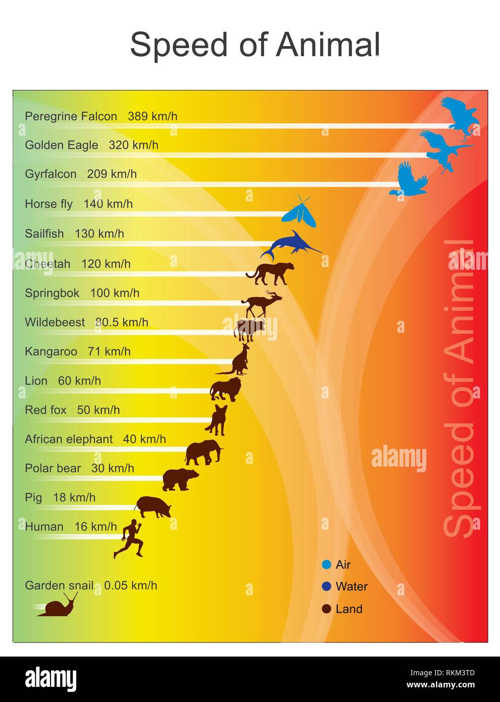 Black gyrfalcon falco rusticolus hires stock photography and images