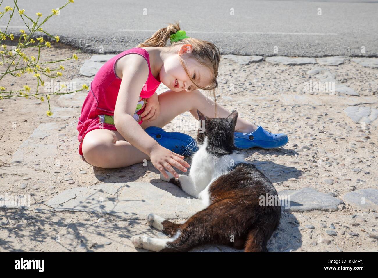 Little Girl Five Years Old Child Sitting On The Ground Smiling And Looking At White And Black Cat On The Street In Summertime Stock Photo Alamy