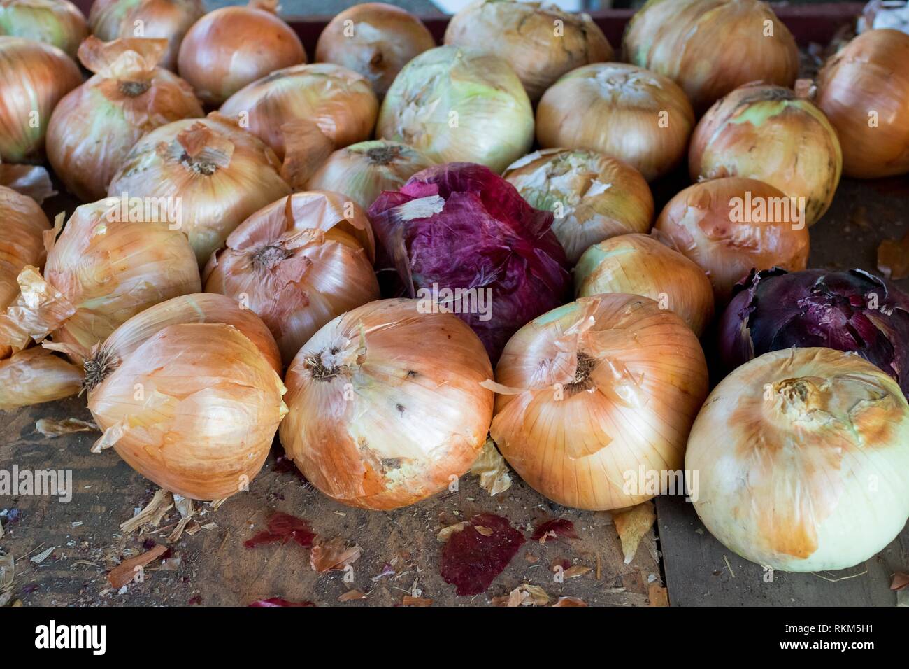 Yellow and red onions for sale at Detering Organic Farm near Eugene