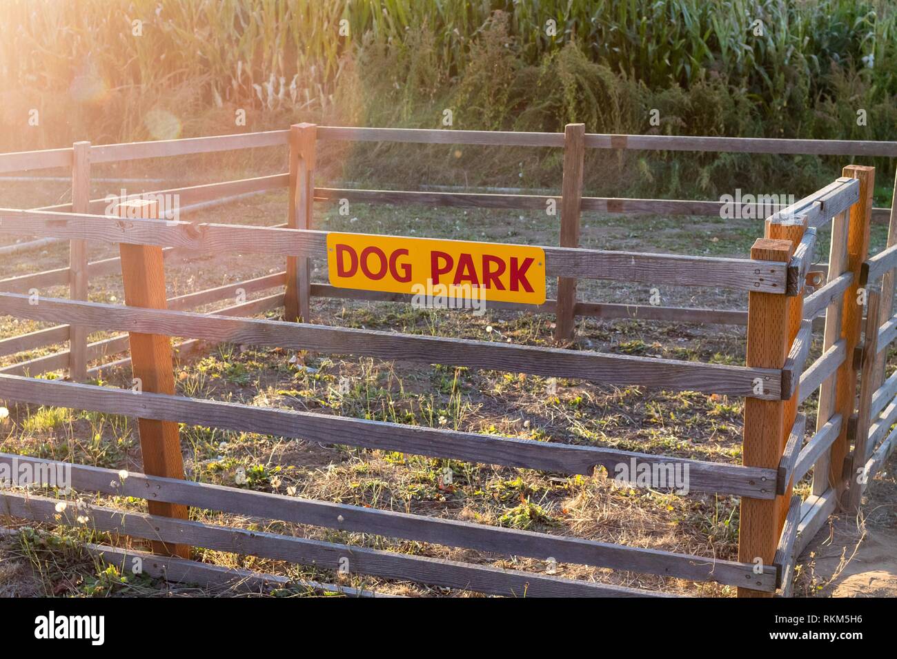 Very small and impractical dog park with a fence around it to house
