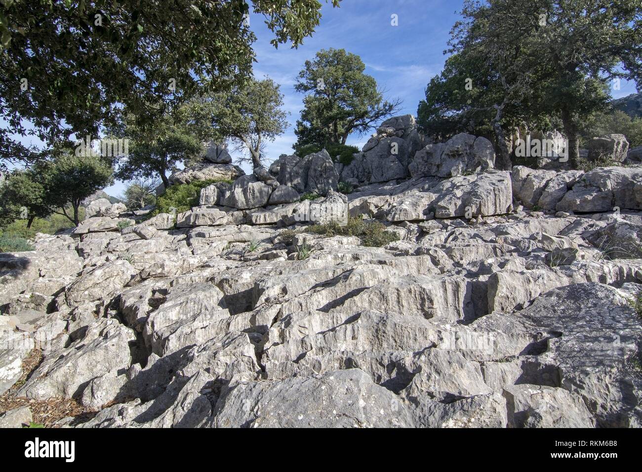 Landscape with unusual looking limestone rocks in the Lluc area on a sunny winter day in Mallorca, Spain. Stock Photo