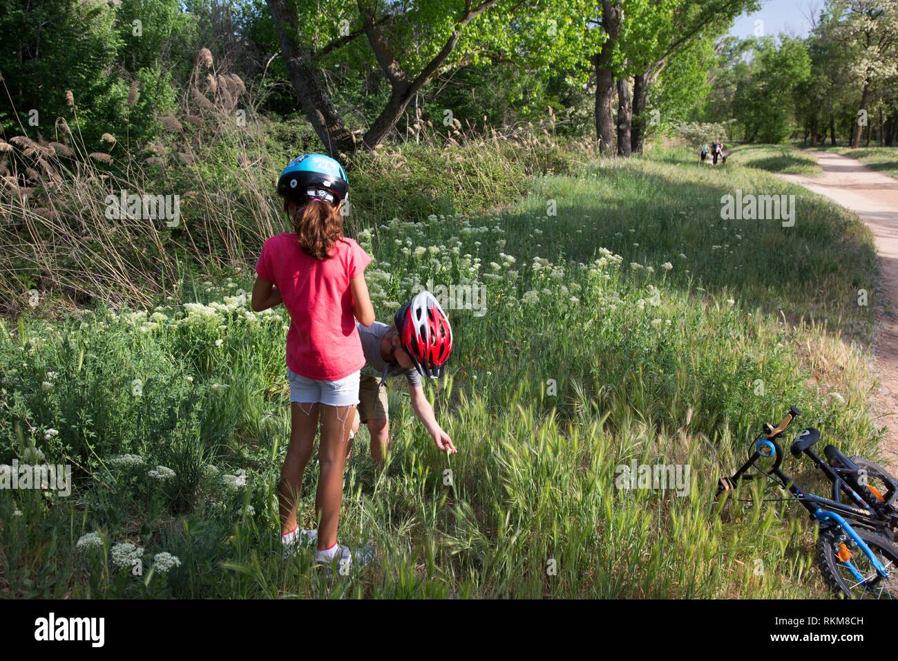 Children catching insects. Rio Henares. Madrid Province. Spain. Stock Photo
