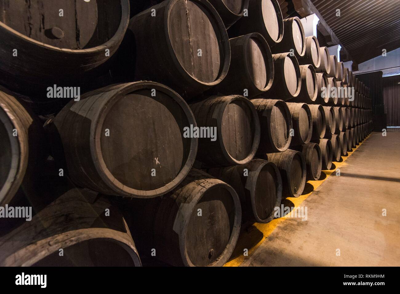 Tio Pepe, winery, Jerez de la Frontera, Cadiz province, Andalucia, Spain  Stock Photo - Alamy