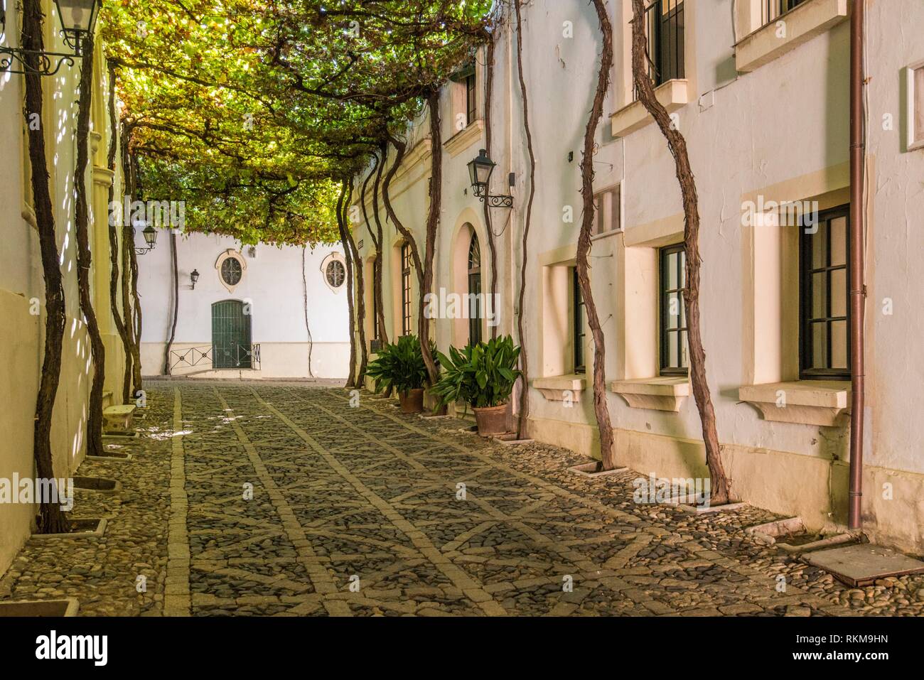 Jerez winery hi-res stock photography and images - Alamy