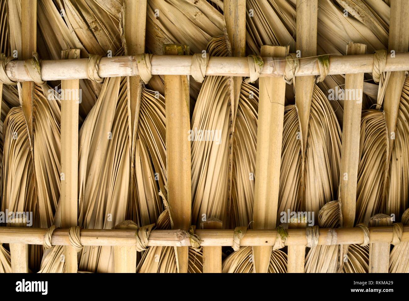 Palm Thatch Roof At A Small Retreat Near San Agustinillo Oaxaca Mexico Stock Photo Alamy