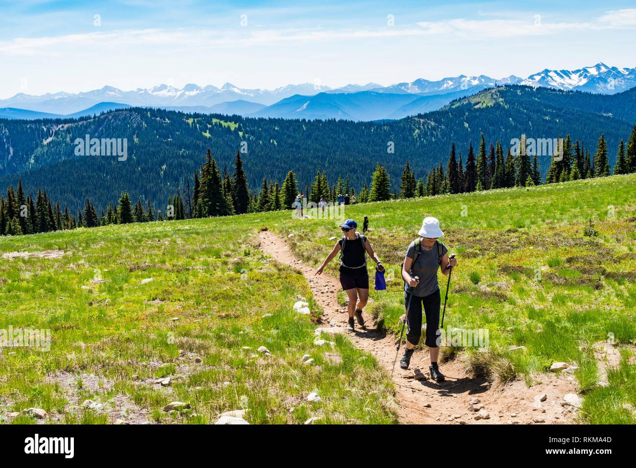 manning park hikes