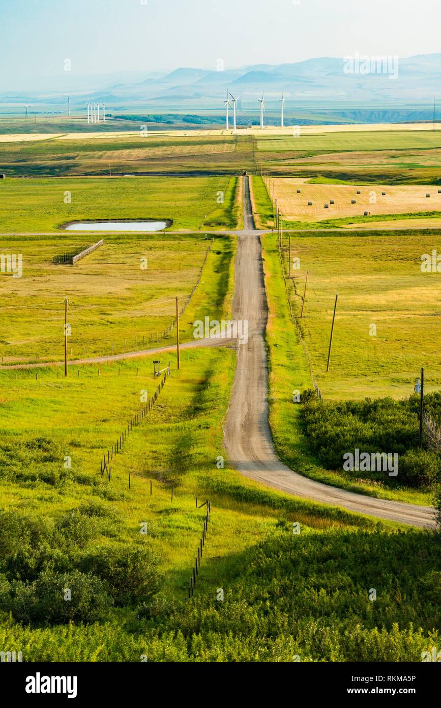 Landscape near Pincher Creek, Alberta, Canada Stock Photo Alamy