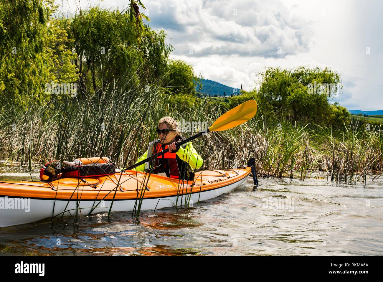 kayaking on Swan Lake, near Vernon, BC, Canada Stock Photo Alamy