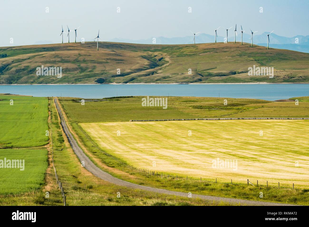 Old man river hires stock photography and images Alamy