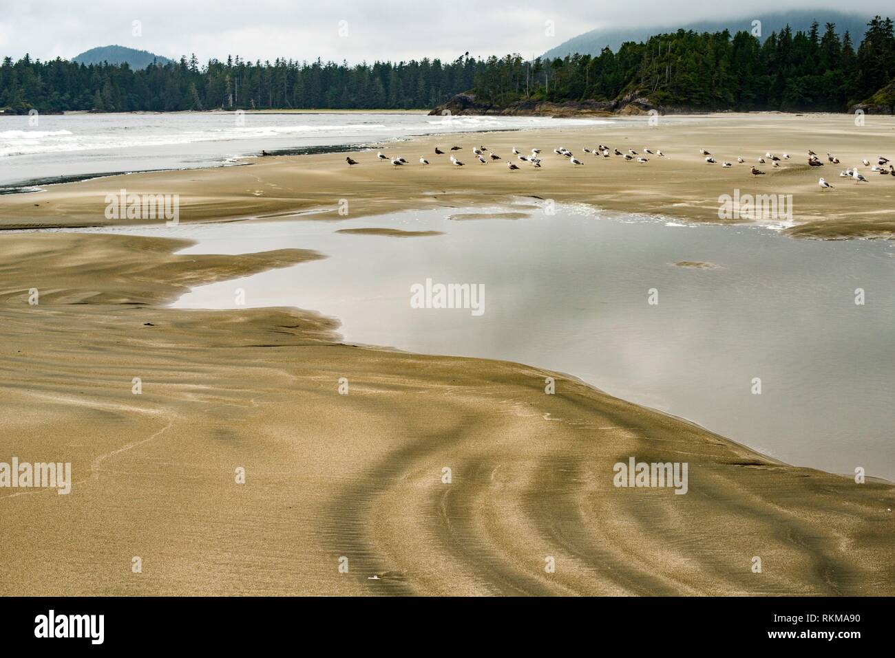 Beach on Flores Island, off the west coast of Vancouver Island, British