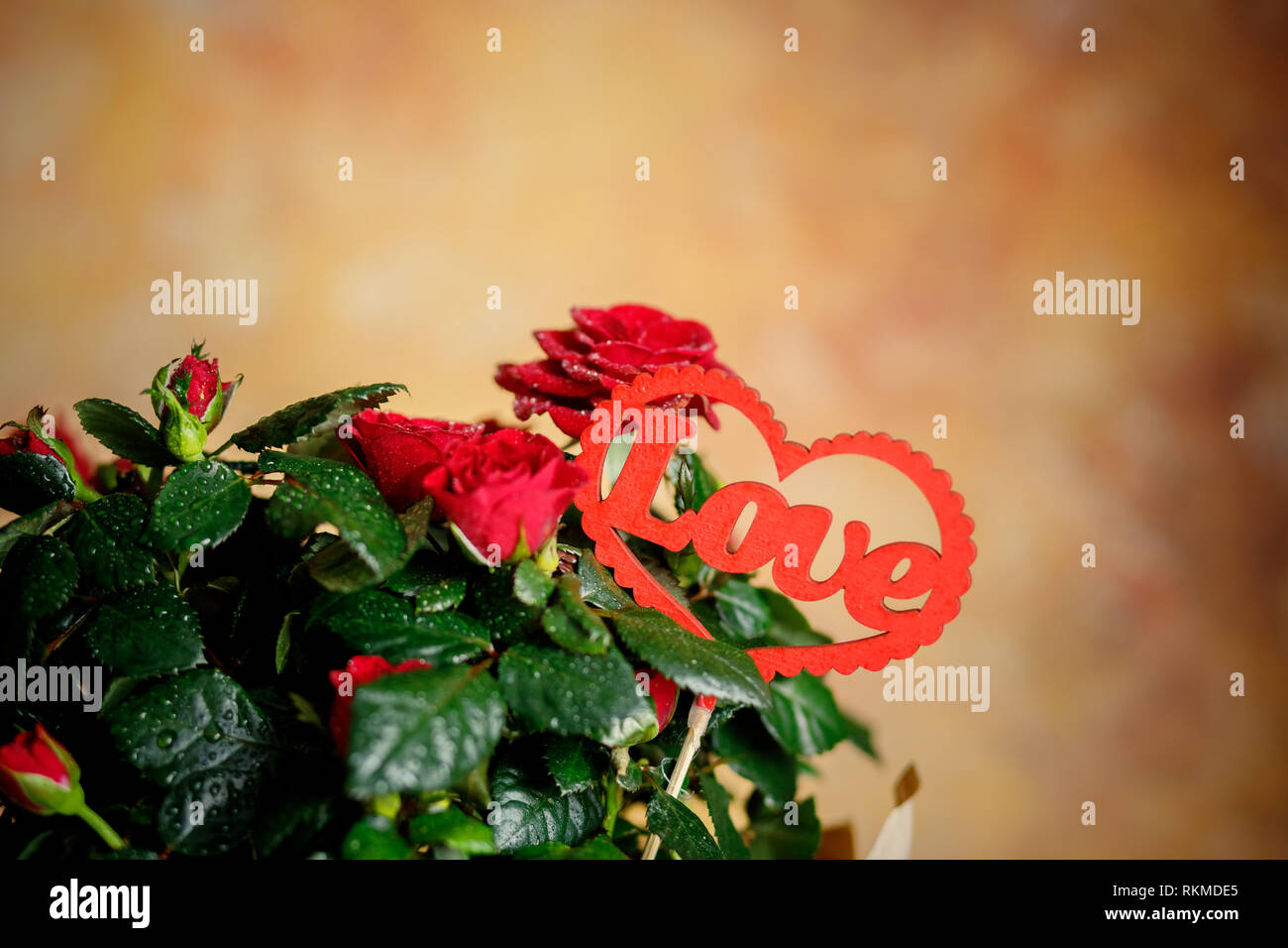 Red roses bouquet with red heart message card.Image of Valentines day ...