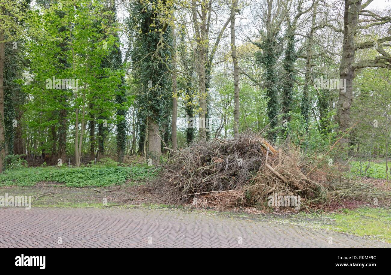 Maintenance in a park in the Netherlands. Stock Photo