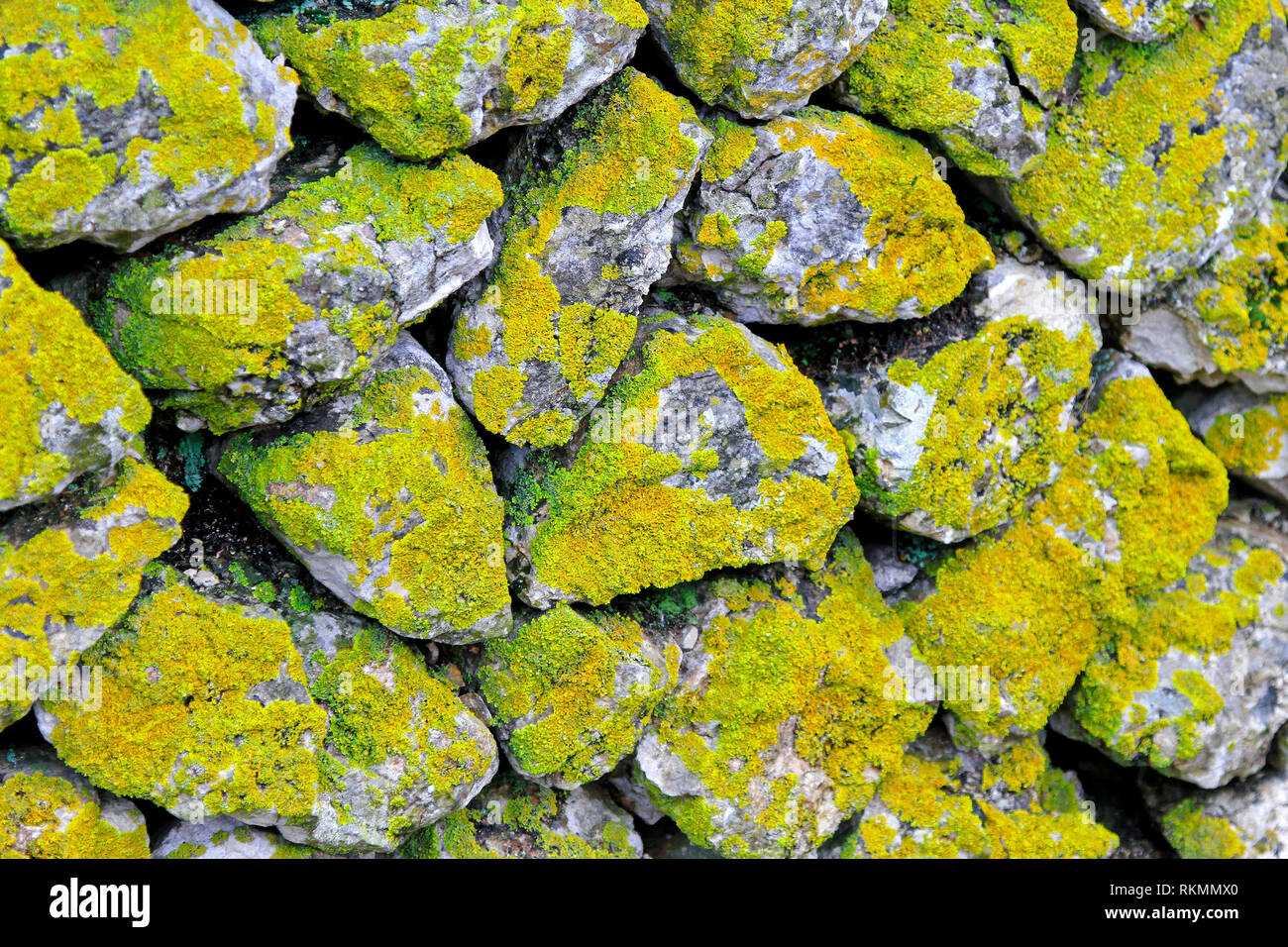 Very old stone wall covered with moss Stock Photo - Alamy
