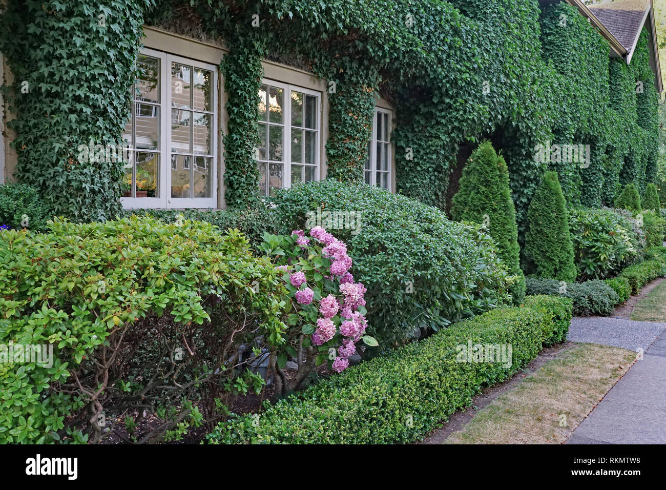 Vine Covered House Stock Photos & Vine Covered House Stock Images Alamy