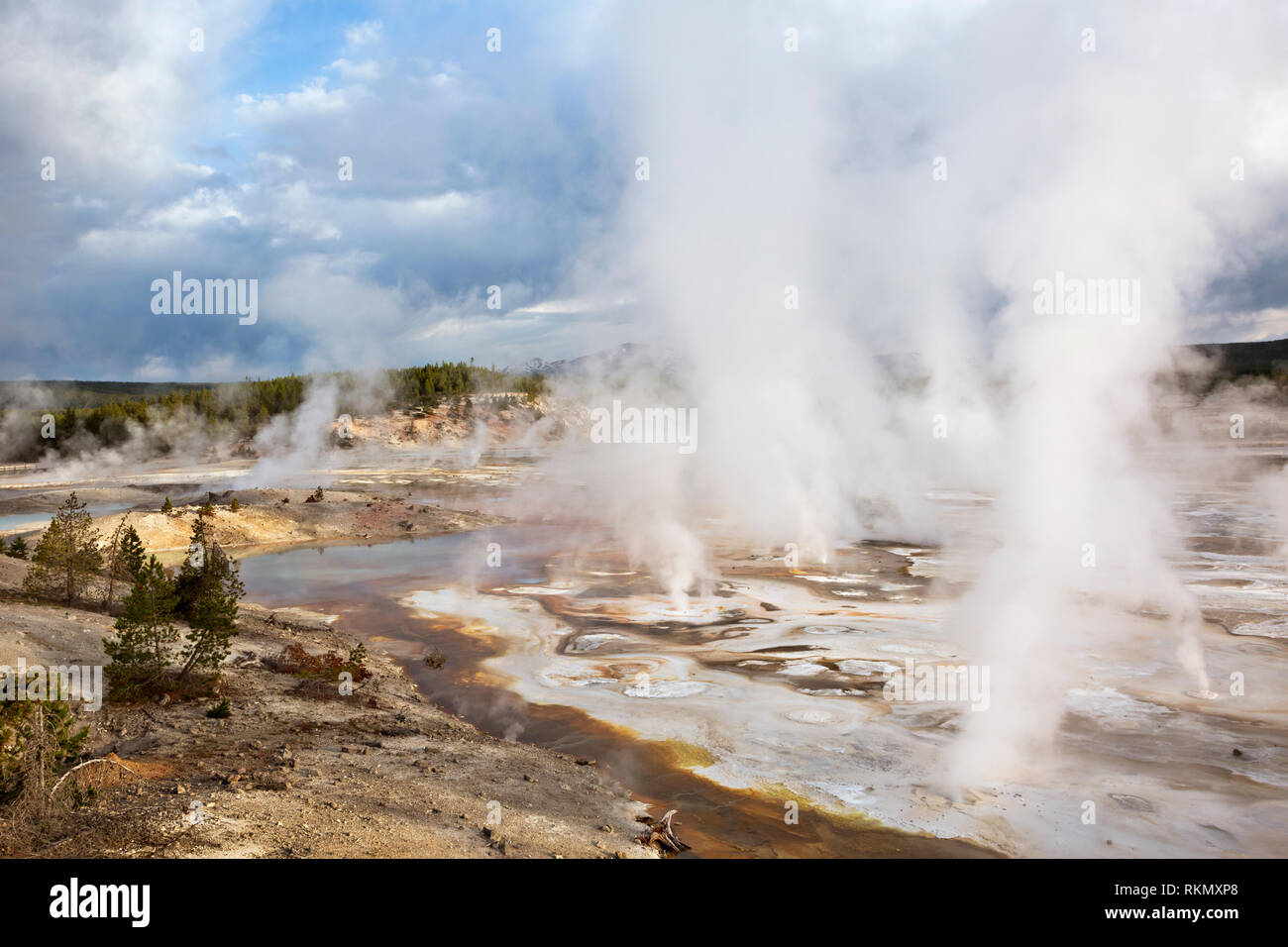 WY03428-00...WYOMING - Patterns and steam made by the fumerals and hot springs in the Porcelain Basin area of Norris Geyser Basin in Yellowstone Natio Stock Photo