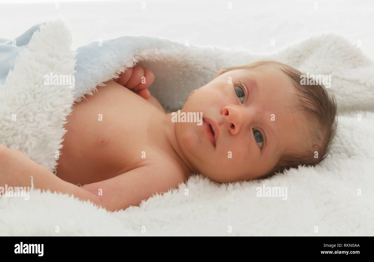 newborn baby under a blanket Stock Photo Alamy