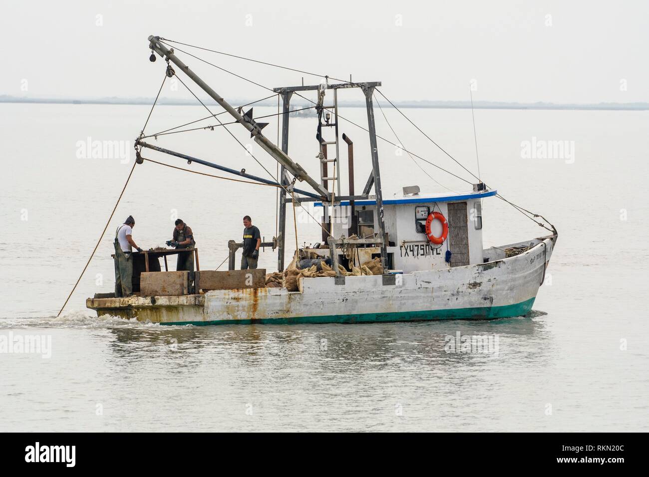 Workers sorting oysters on an oyster fishing boat in Aransas Bay, Rockport, Texas, USA. Stock Photo