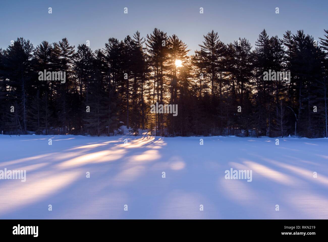 Sunlight and shadows on Frozen Mew Lake in winter, Algonquin Provincial Park, Ontario, Canada. Stock Photo