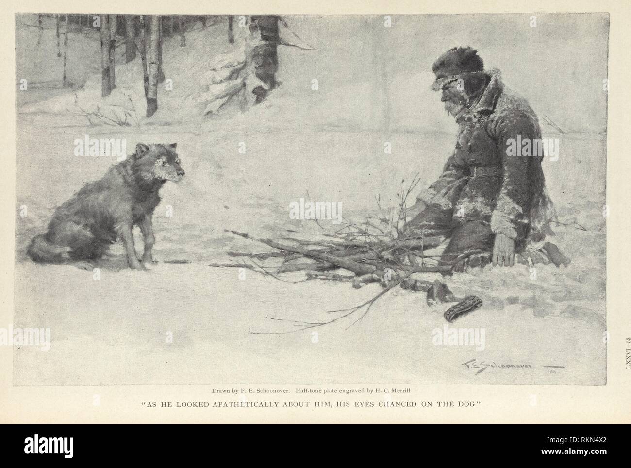 What Does Wood Dog Mean