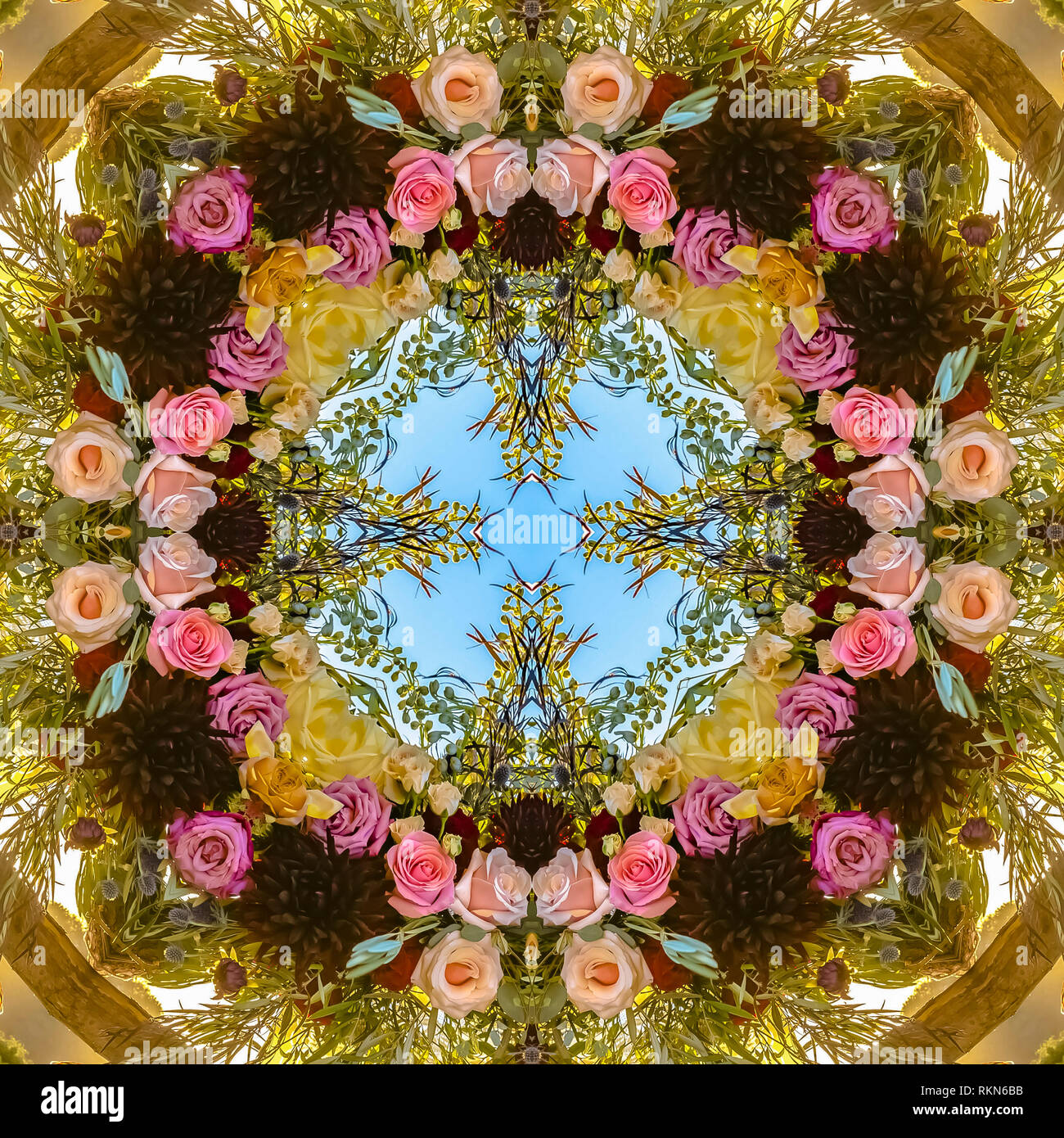 Flowers in geometric shapes reflection in circle. Geometric ...