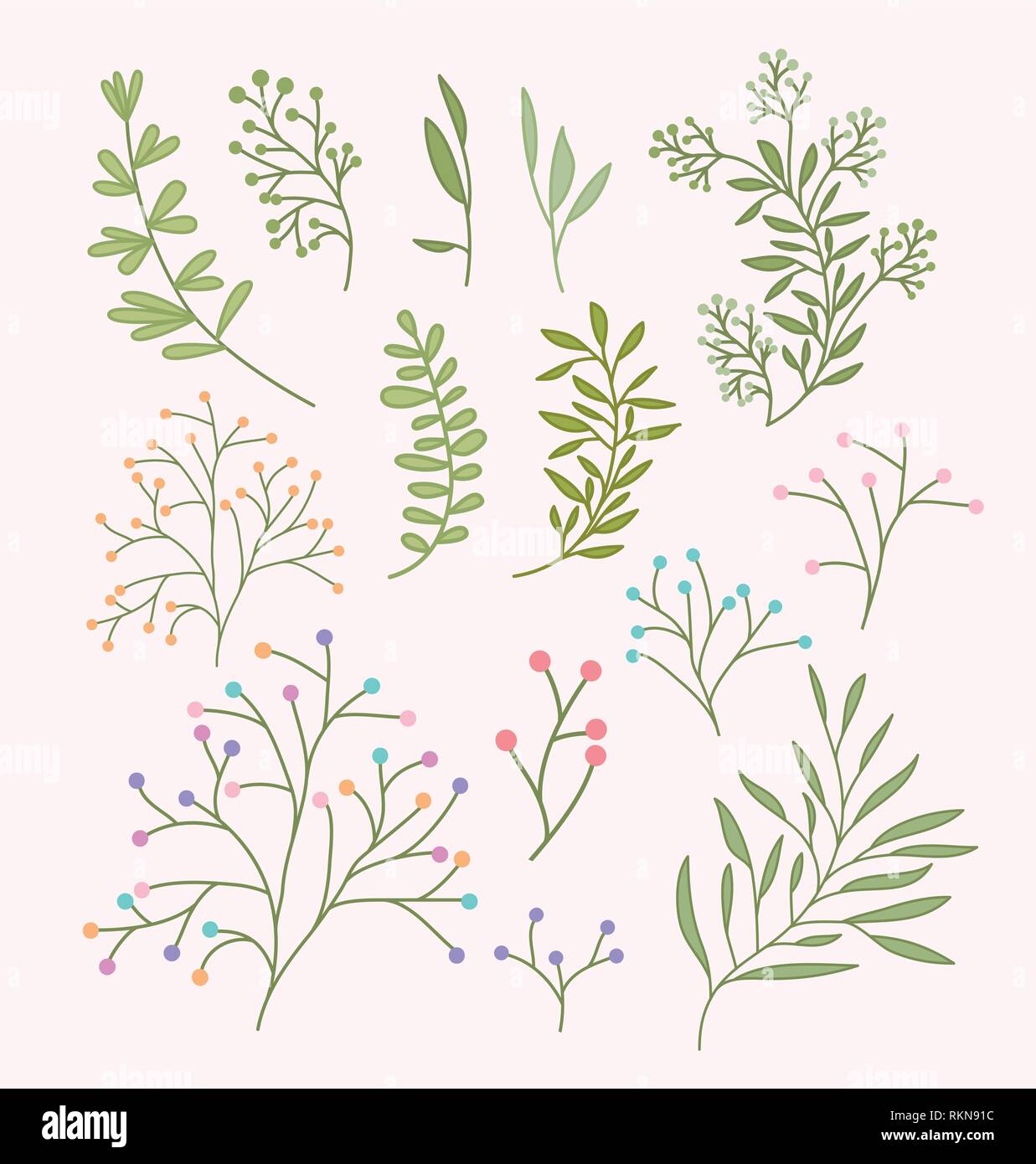 set of spring branches and leafs Stock Vector Image & Art - Alamy
