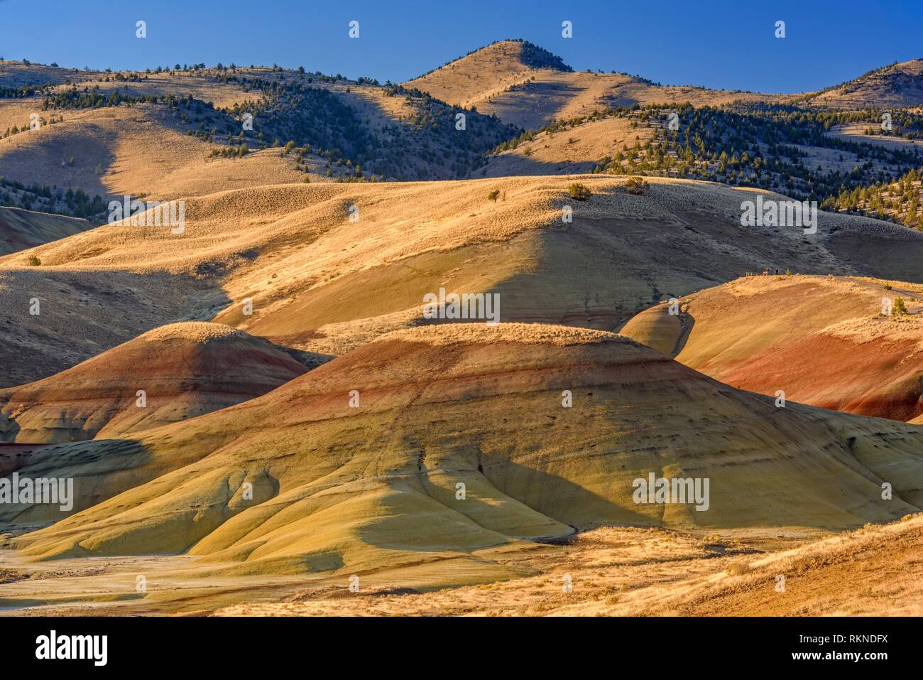 Eroded, exposed laterite and mudstone sediments in a sagebrush