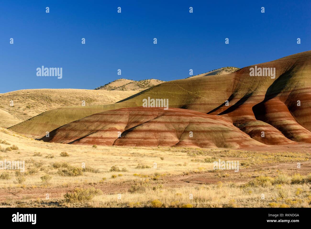 Eroded, exposed laterite and mudstone sediments in a sagebrush
