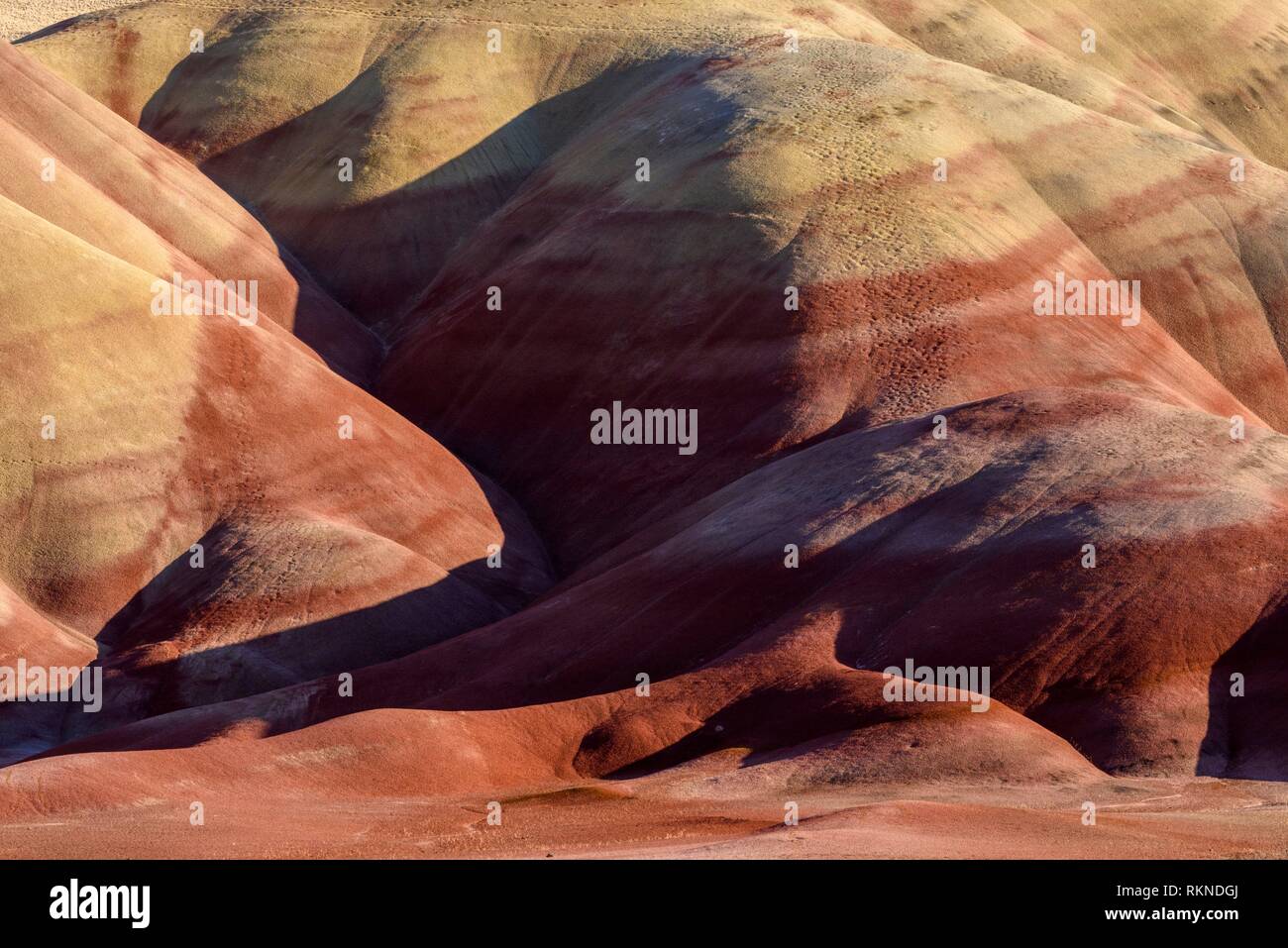 Eroded, exposed laterite and mudstone sediments in a sagebrush