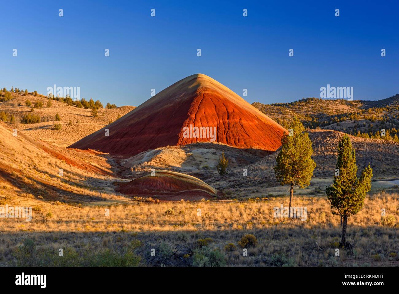 Eroded, exposed laterite sediments at Red Hill, John Day Fossil Beds