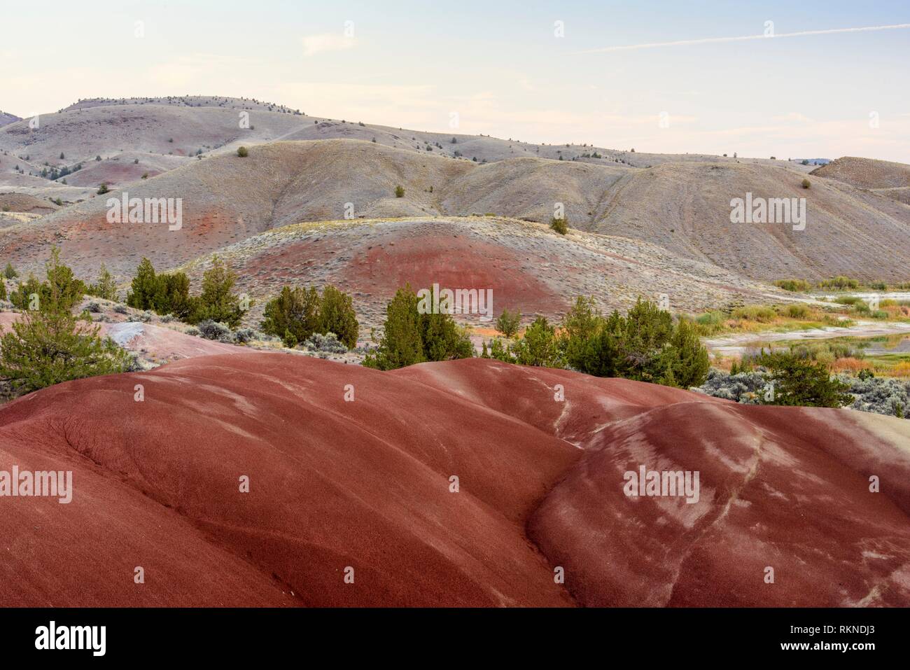 Eroded, exposed laterite sediments at Red Cove, John Day Fossil Beds