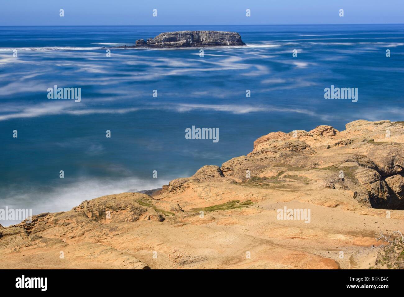 Rugged coastline with pounding surf, Devil's Punchpbowl Viewpoint, Oregon, USA. Stock Photo