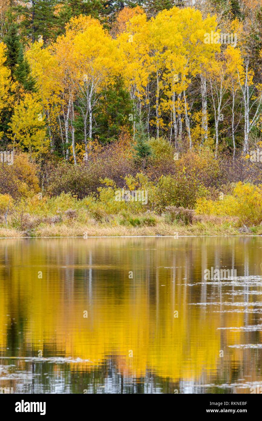 Beaver boundary hi-res stock photography and images - Alamy