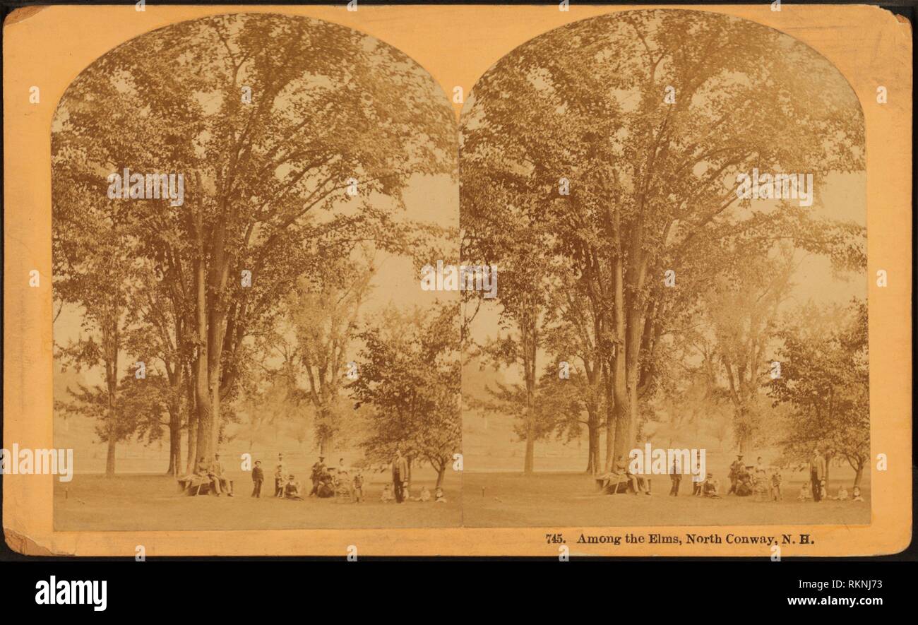 Among the Elms, North Conway, N.H. Kilburn, B. W. (Benjamin West) (1827