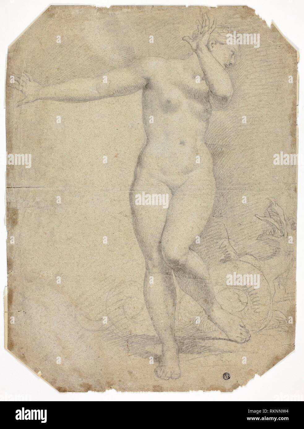 Dating wedgwood mønstre