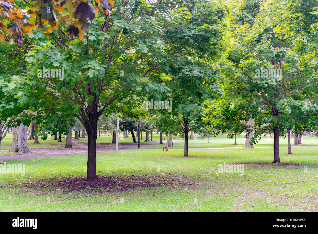 Downtown kingston ontario hires stock photography and images Alamy