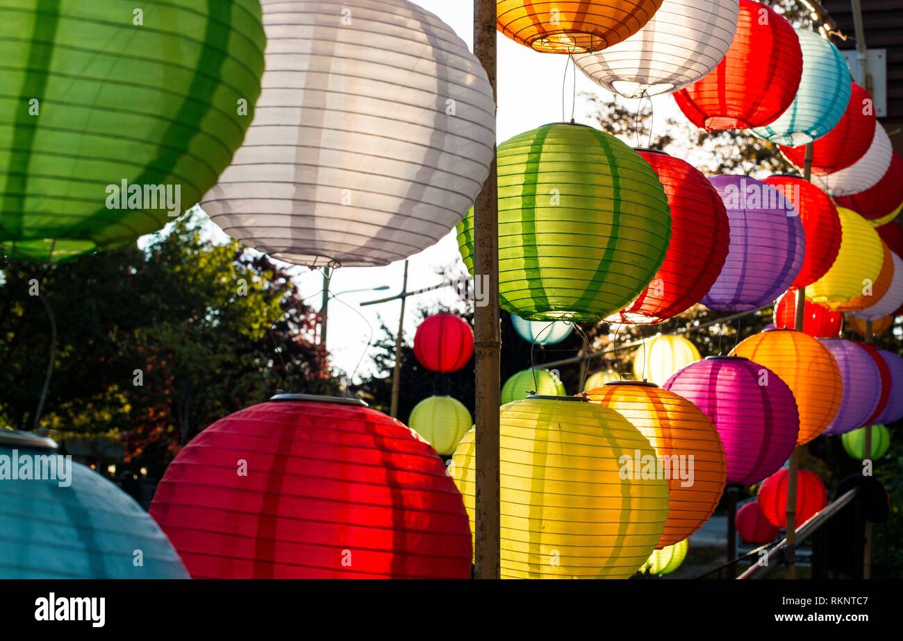 Paper lanterns canada sale