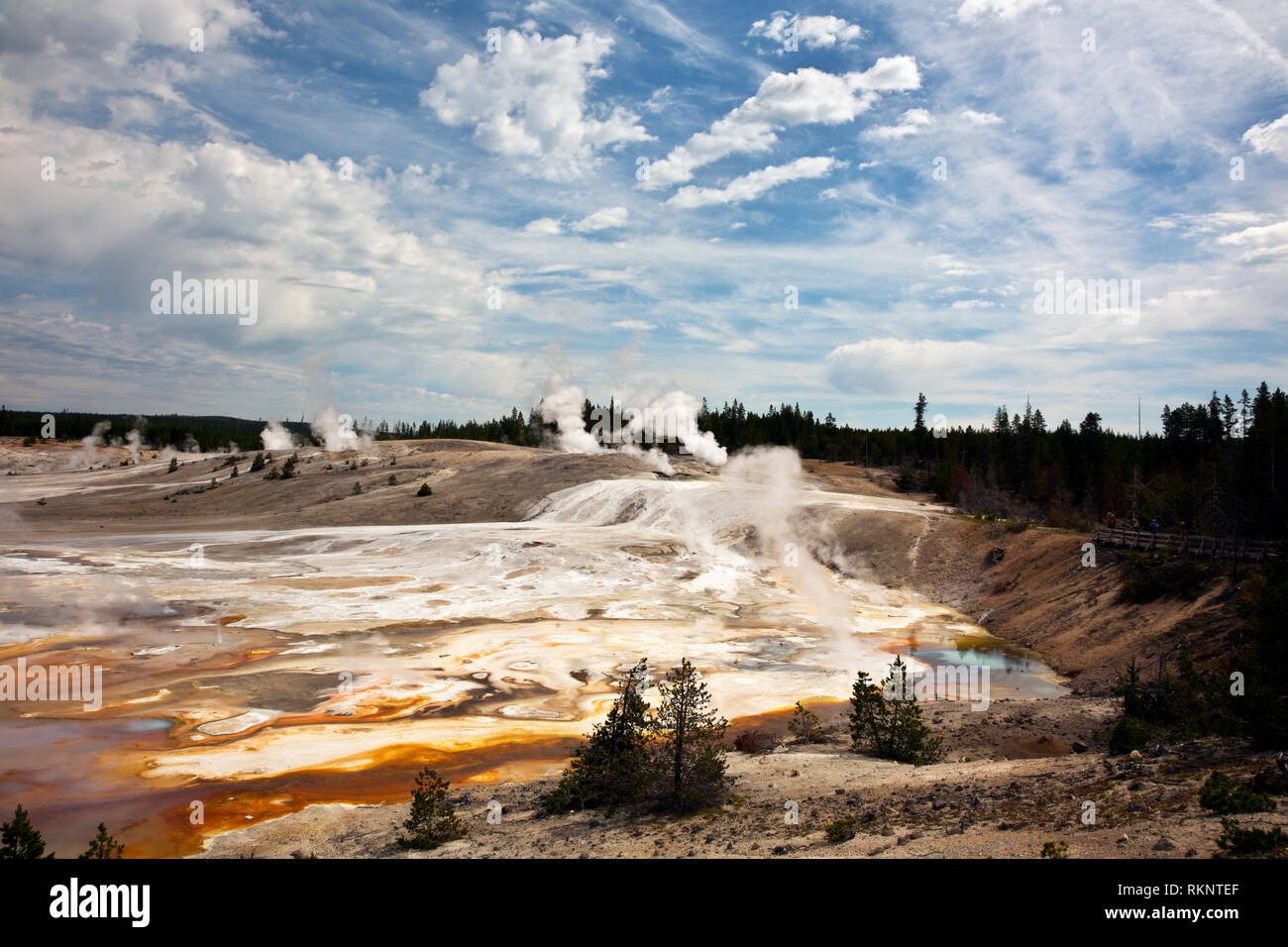 WY03434-00...WYOMING - Porcelain Basin area of Norris Geyser Basin in Yellowstone National Park. Stock Photo