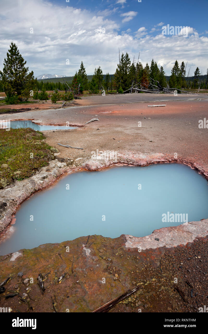WY03446-00...WYOMING - Hot springs along the Artist Paint Pots nature trail, a colorful thermal area in Yellowstone National Park. Stock Photo
