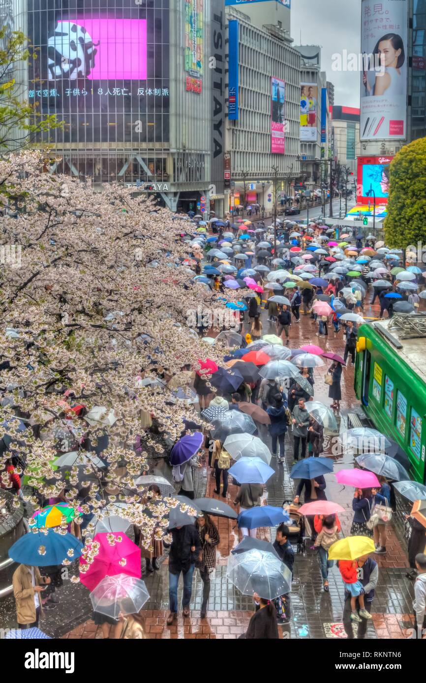 Japan pedestrian crossing hi-res stock photography and images - Alamy