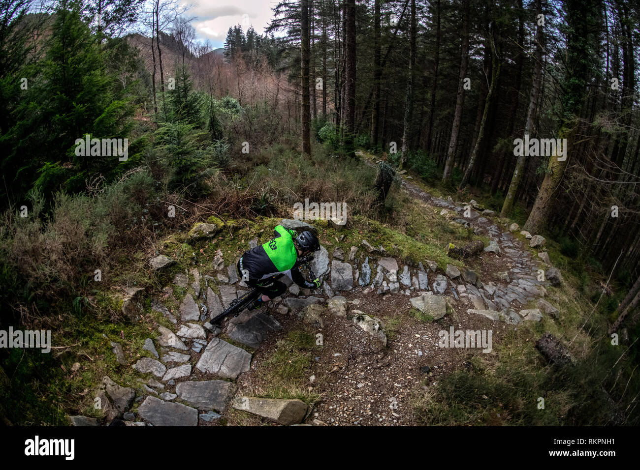 coed y brenin mtb